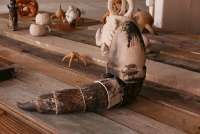 http://www.mariebiaudet.com/files/gimgs/th-10_r5.jpg